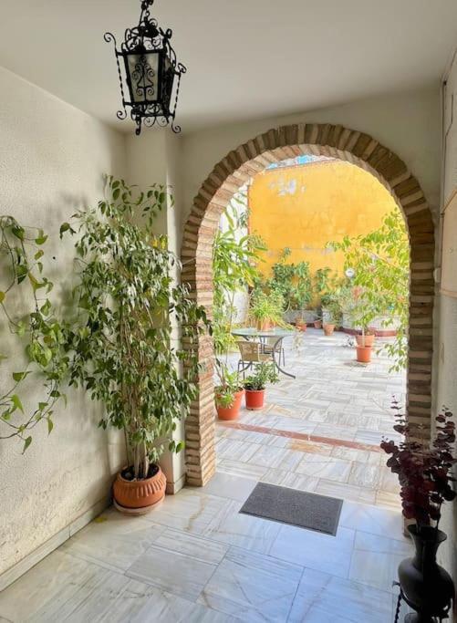 Apartamento El Patio De Wallada Córdoba