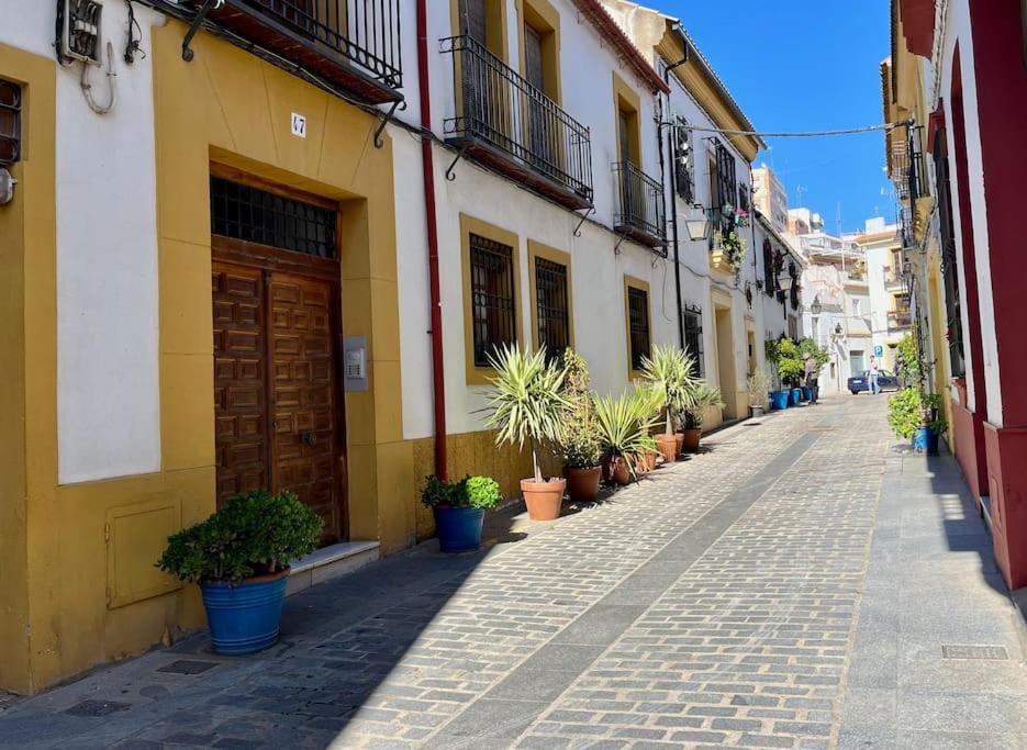 Apartamento El Patio De Wallada